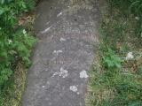image number 8